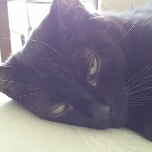 Meet your Posher, Jonathan